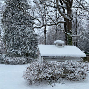 Meet your Posher, Susan